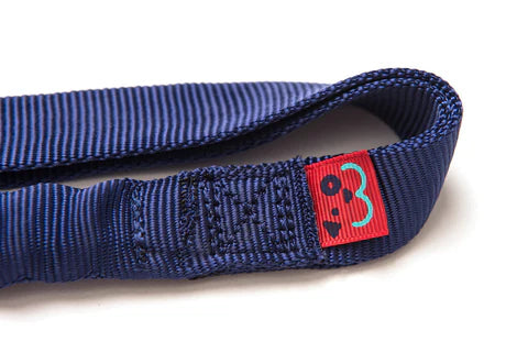 We Leash and We Binkie Dog Toy Combo
