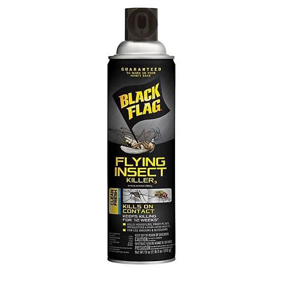 Black Flag Insect Killer Aerosol 18 oz