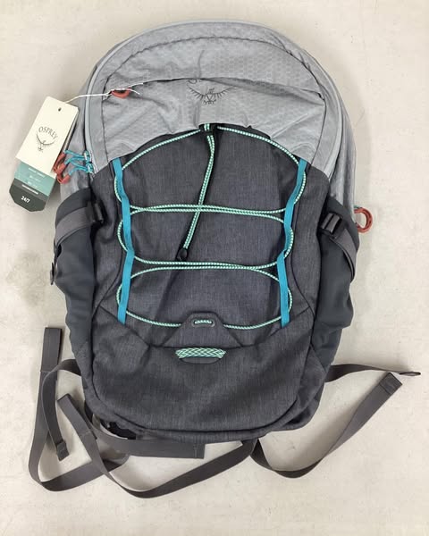 Osprey Quasar Commuter Backpack, Silver Lining/Tunnel Vision Pop