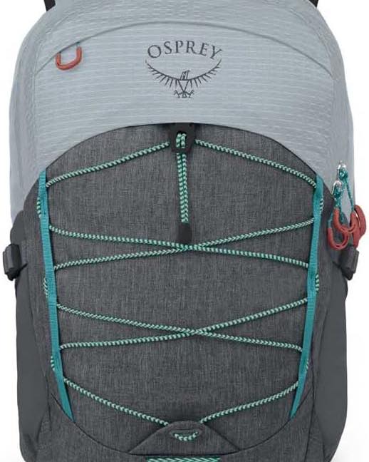 Osprey Quasar Commuter Backpack, Silver Lining/Tunnel Vision Pop