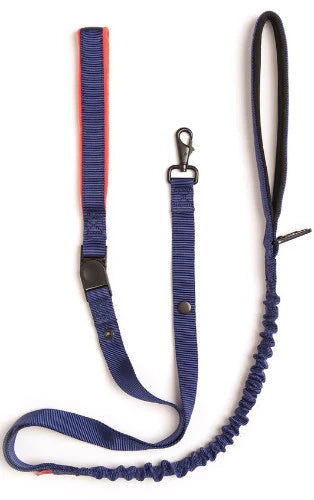 We Leash and We Binkie Dog Toy Combo