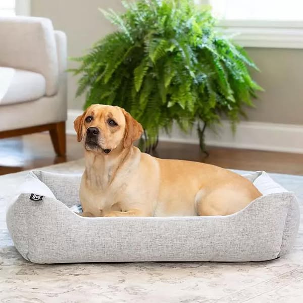 Member's Mark Premium Cuddler Pet Bed