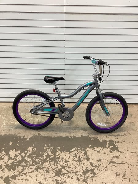 Schwinn Astrid 20" Kids' Bike - Gray