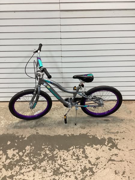 Schwinn Astrid 20" Kids' Bike - Gray