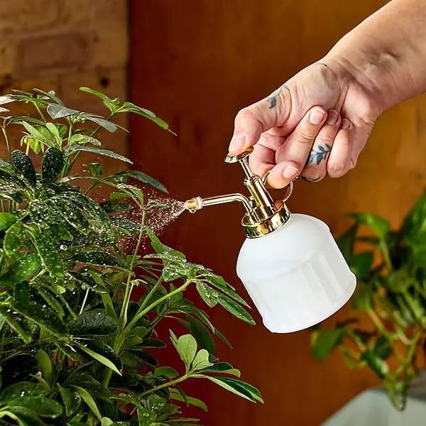 Modern Sprout Gardening Shears and Glass Plant Mister Set