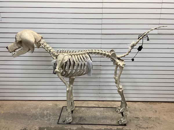 Home Accents Holiday 7 ft. Long Grave & Bones Skelly's Dog with LifeEyes LCD Eyes
