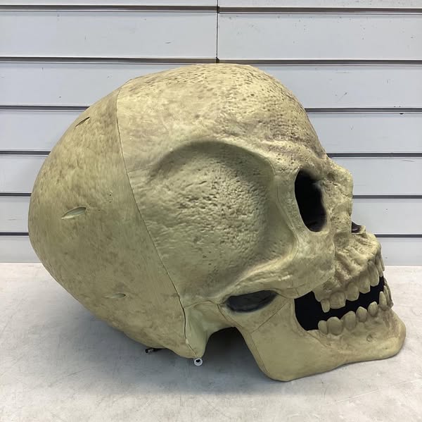 Home Accents Skelly Scary Head W/ LCD LifeEyes Accessory Replacement Upgrade