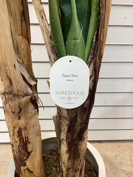 Threshold 72" Banana Tree in Cement Pot