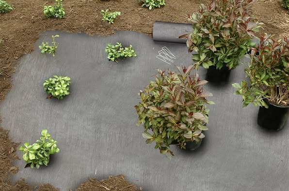 Dalen Pro-Shield Commercial-Grade Landscaping Fabric 4 ft x 225 ft