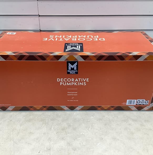 Member's Mark Decorative Pumpkins, Set of 3