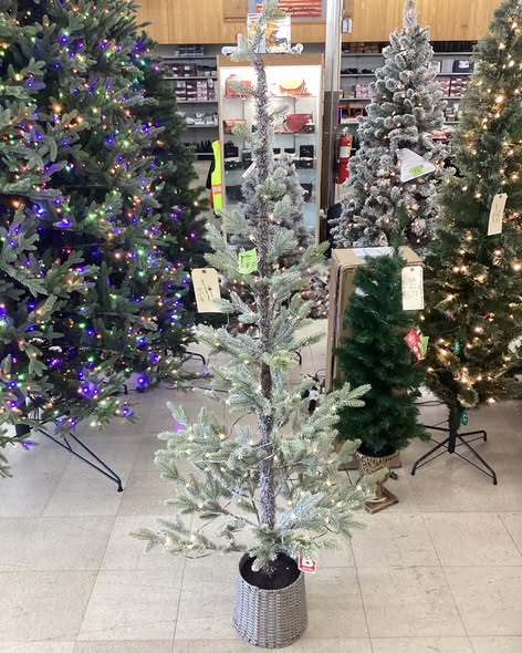 5Ft Pre-lit Flocked Balsam Fir Artificial Christmas Tree with Basket Base Warm White LED Lights - Wondershop