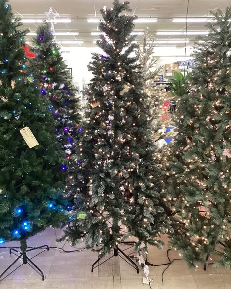 PULEO International 7.5 ft. Pre-Lit Lightly Frosted Northern Tip Pine Artific