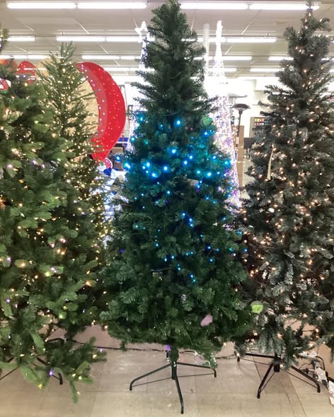 7.5' Pre-Lit LED Alberta Spruce Artificial Christmas Tree - Wondershop