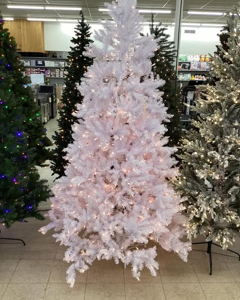 National Tree Company 7.5-ft Dunhill fir Pre-lit White Artificial Christmas Tree with Clear Lights