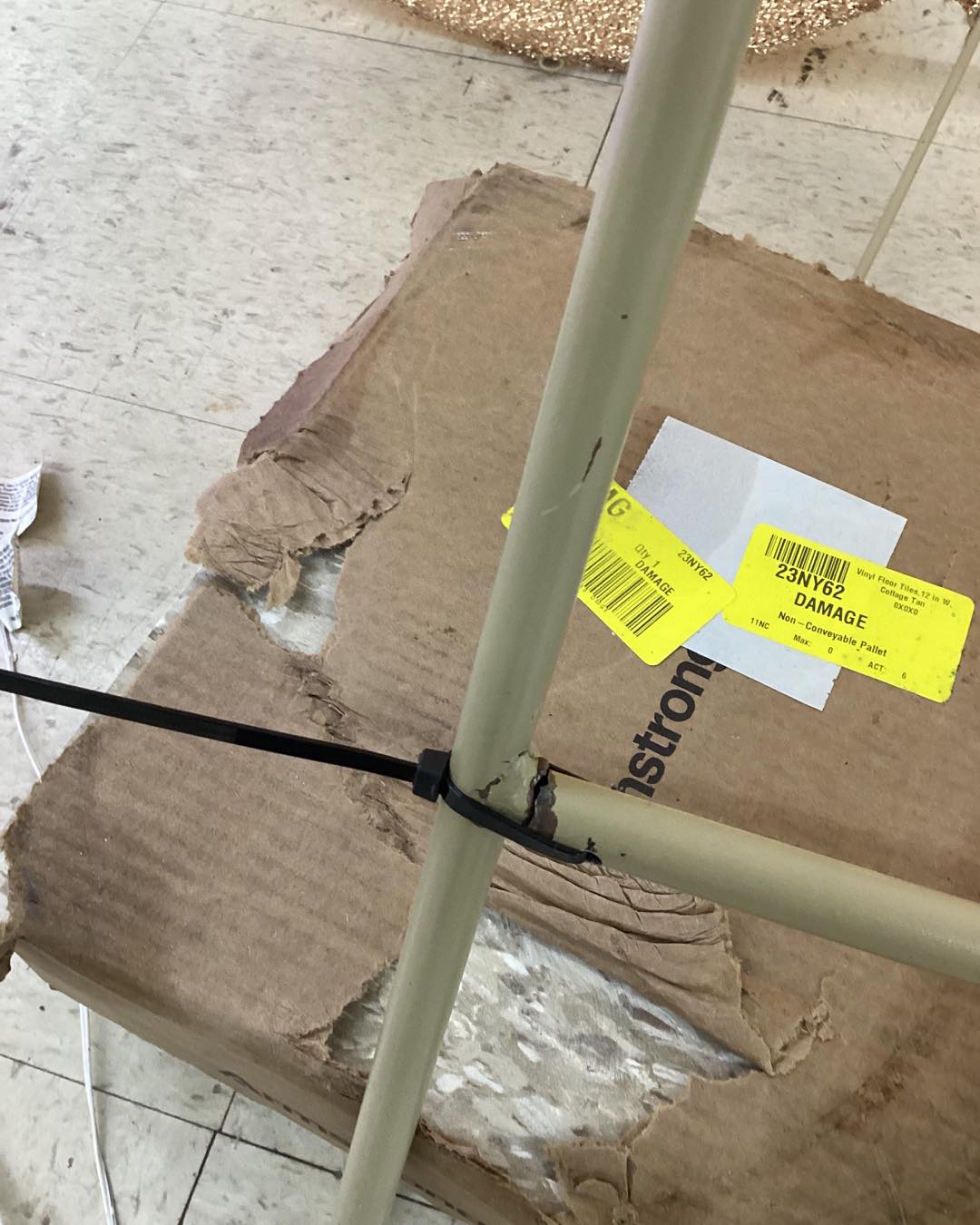 Holiday Bear with 600 LED Lights 2.7 m (9ft.) - Used