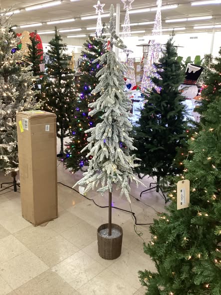 Wondershop 6 foot Flocked Alpine Balsam Fir Lit Tree in Potted Basket