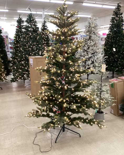 SIERRA PINE PRE-LIT TREE 7.5 FT.