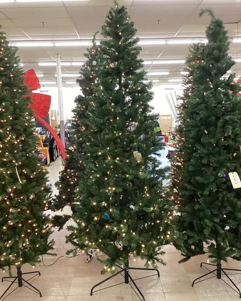 ALBERTA SPRUCE LED PRE-LIT TREE 9FT