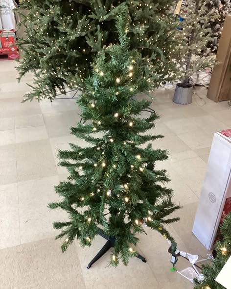 Home Accents Holiday 4 ft. Woodtrail Fir LED Pre-Lit Artificial Christmas Tree