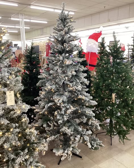 ALBERTA SPRUCE LED PRE-LIT TREE 7.5 FT.