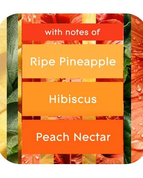 Glade PlugIns Scented Oil, Hawaiian Breeze, 1 Warmer + 9 Refills