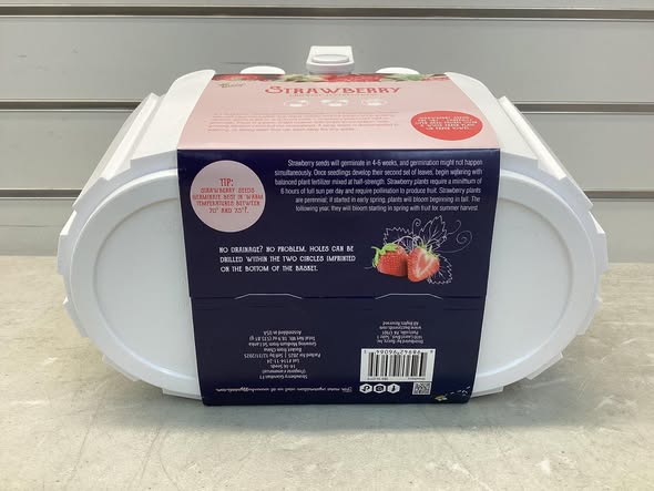 Strawberry Patch White Basket - Buzzy Seeds: Grow Kit, Full Sun, 90 Days to Maturity