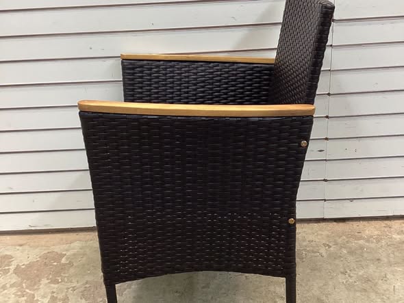 Garden Set of 2 Rattan Black Iron Frame Stationary Dining Chairs