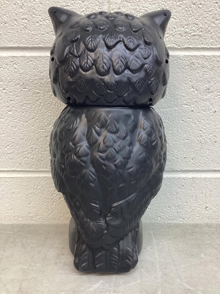 Hyde & EEK! Boutique Indoor Haunted House Theme Light & Sound Owl Halloween Decorative Prop