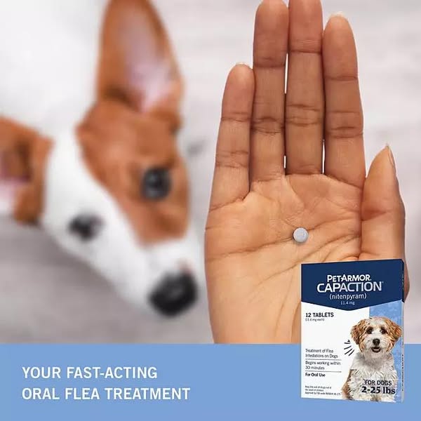 PetArmor CapAction Flea Tabs for Dogs, 12 ct.