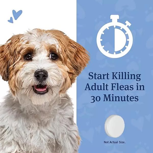 PetArmor CapAction Flea Tabs for Dogs, 12 ct.