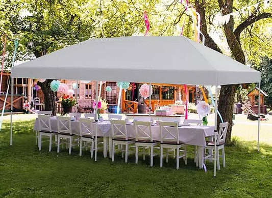 Member's Mark 10'x20' Instant Canopy with EasyLift Technology