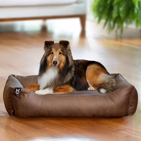 Member's Mark Premium Cuddler Pet Bed