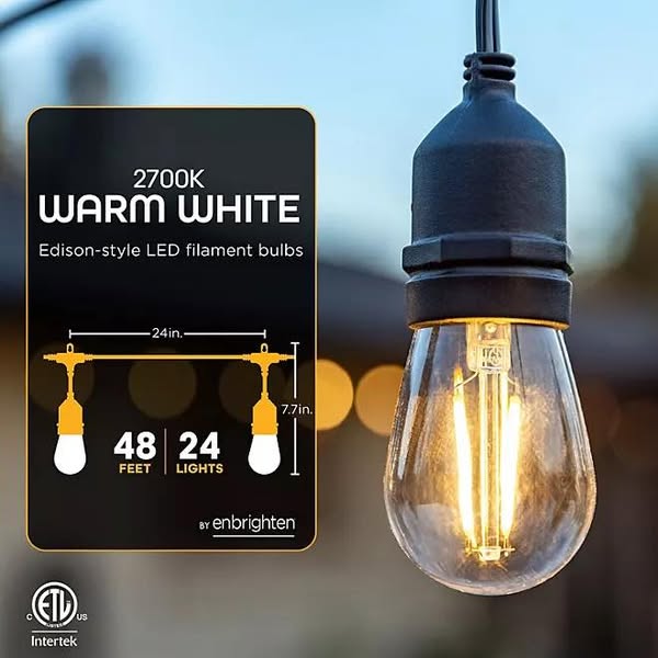 EcoScapes by Enbrighten 48' Outdoor LED Café String Lights, 24 Bulbs