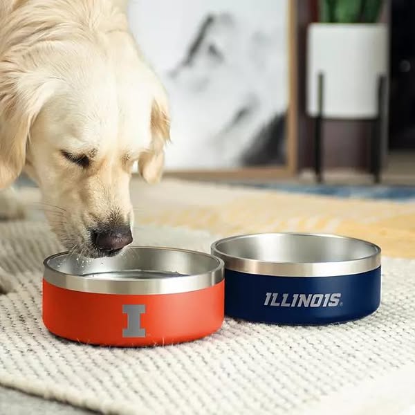 NCAA 2 pk. Stainless Steel Dog Bowls -Illinois Fighting Illini