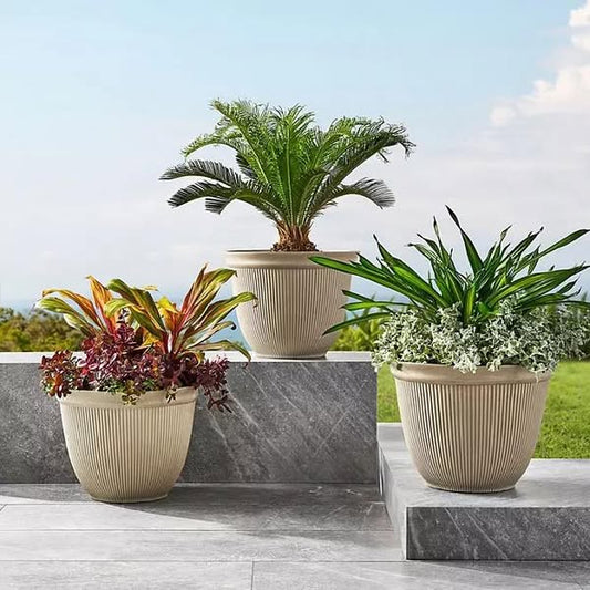 Member's Mark 14.5" Theo Planter, Set of 3