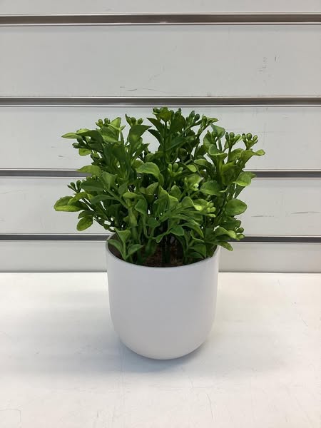 Artificial Boxwood Plant - Indoor Faux Greenery, Melamine Pot, Tabletop Decor