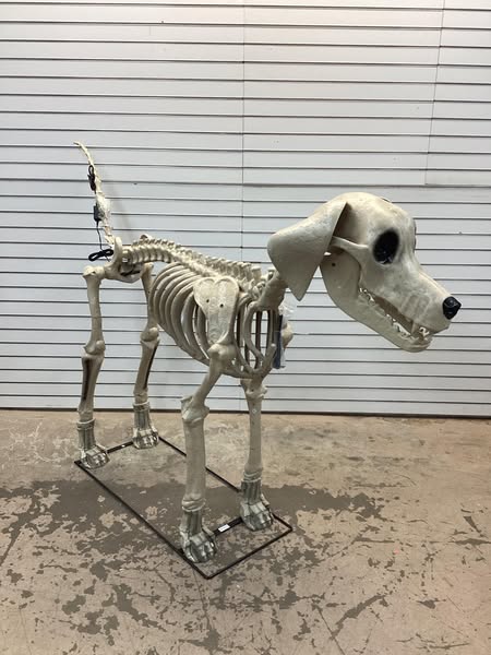 Home Accents Holiday 7 ft. Long Grave & Bones Skelly's Dog with LifeEyes LCD Eyes