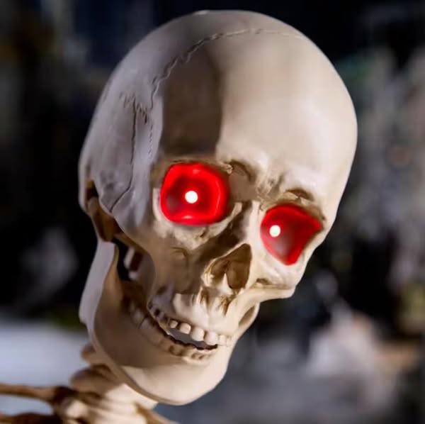 Home Accents Holiday 5 ft. Grave & Bones Poseable Skeleton with Light-Up Eyes