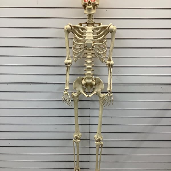 Home Accents Holiday 5 ft. Grave & Bones Poseable Skeleton with Light-Up Eyes