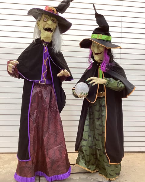 Member's Mark Pre-Lit Animated Crystal Ball Witches, Set of 2