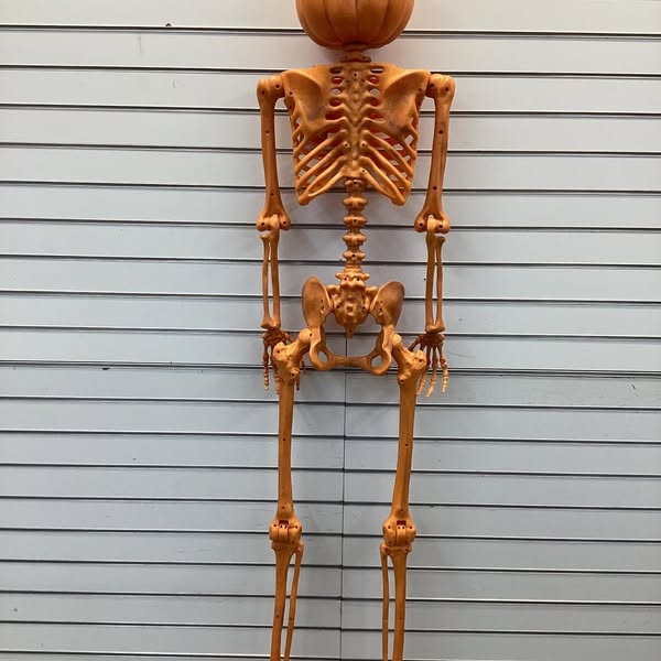 60" Poseable Lifesize Pumpkin Skeleton Halloween Decorative Prop Orange - Hyde and EEK! Boutique