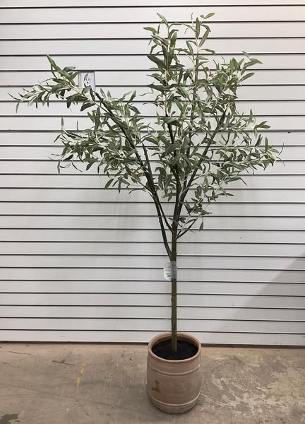 Threshold 72" Olive Artificial Tree with Cement Pot