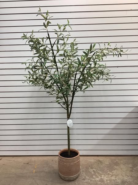Threshold 72" Olive Artificial Tree with Cement Pot