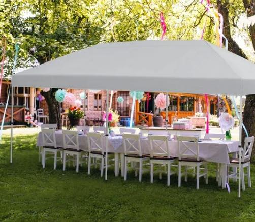 Member's Mark 10' x 20' EasyLift Instant Canopy