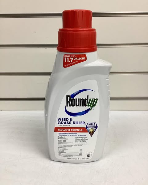 Roundup Plus 35.2 -fl oz Concentrate Weed and Grass Killer