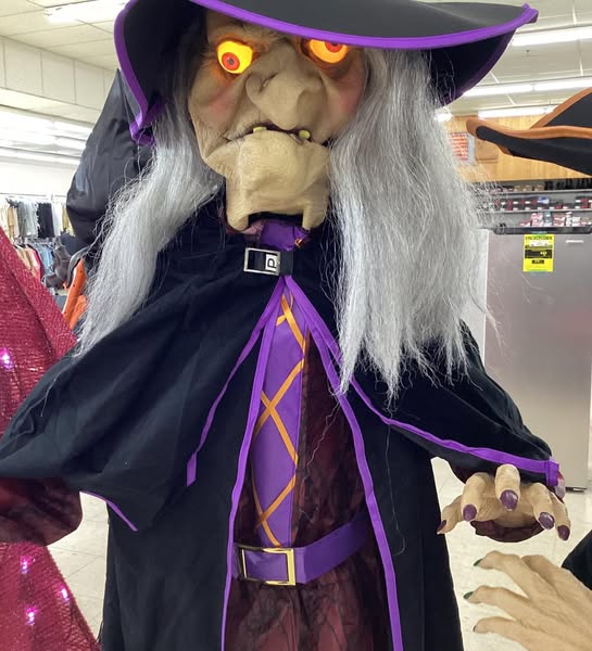 Member's Mark Pre-Lit Animated Crystal Ball Witches