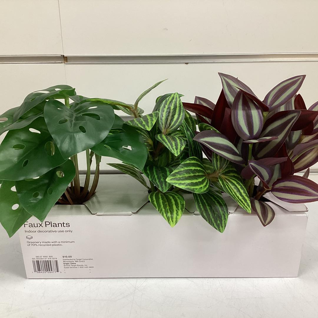Trend Plant Multipack in Black Pot - Room Essentials