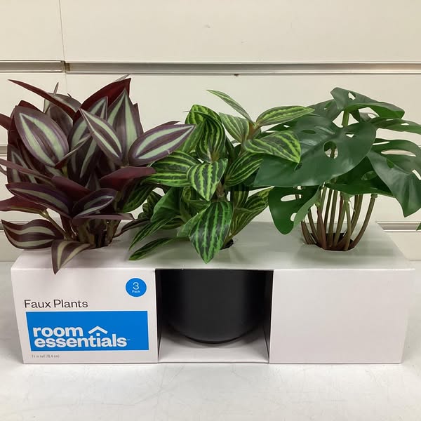 Trend Plant Multipack in Black Pot - Room Essentials