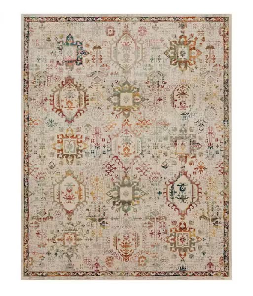 Home Decorators Collection Medallion 7 ft. 10 in. x 10 ft. Indoor Area Rug