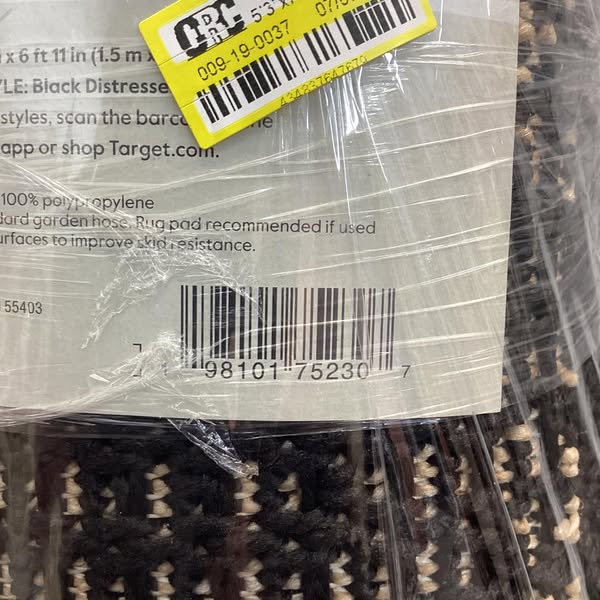 Distressed Persian Outdoor Area Rug - Threshold